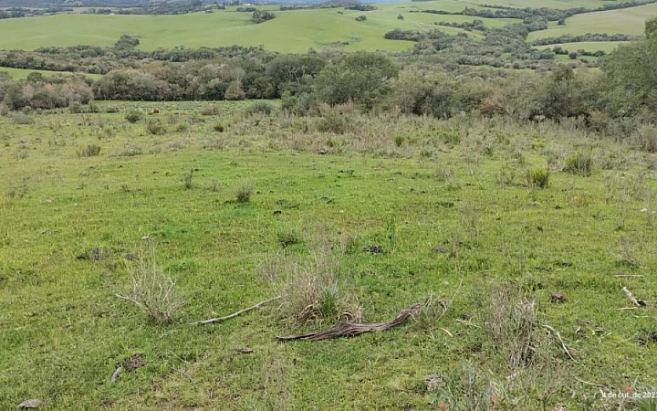 Vendo 45 hectares em Piratini Sítio