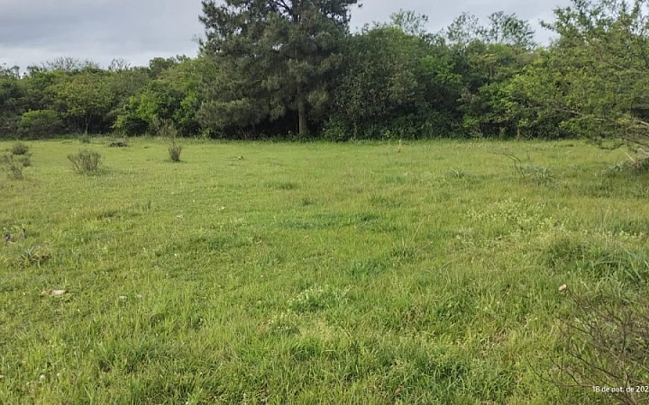 Sítio de 68 hectares em Herval RS Fazenda