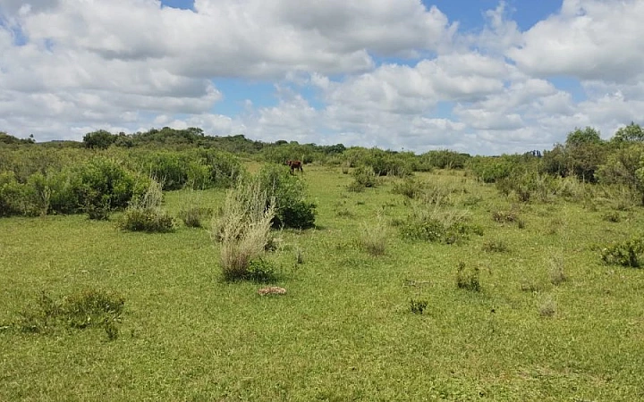 Fazenda 330ha Piratini Fazenda